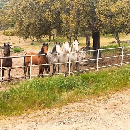 فندق Hipico El Hinojal 4*