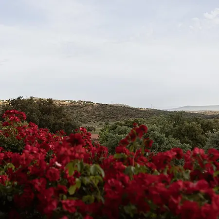 Hipico El Hinojal فندق Montánchez