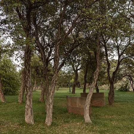 Hipico El Hinojal Montánchez