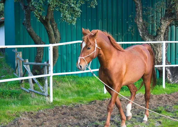 Hotel Hipico El Hinojal Montánchez