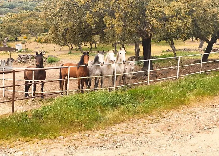 Hotel Hipico El Hinojal 4*