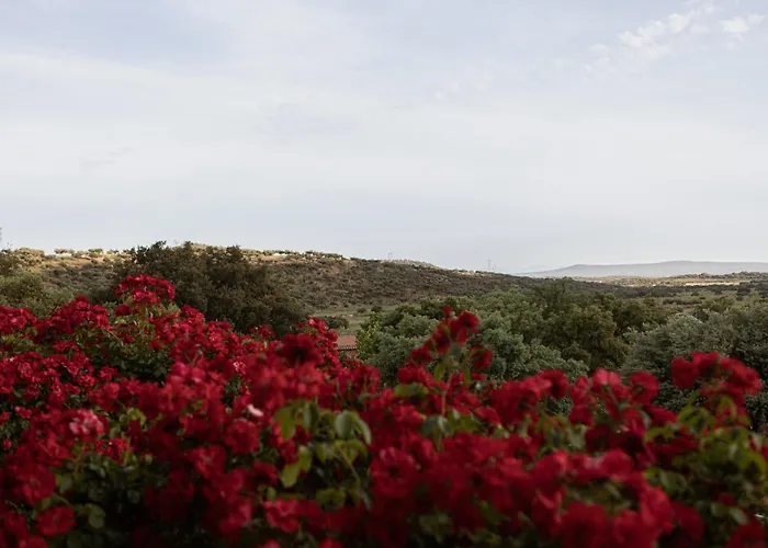 Hipico El Hinojal Hotel Montánchez