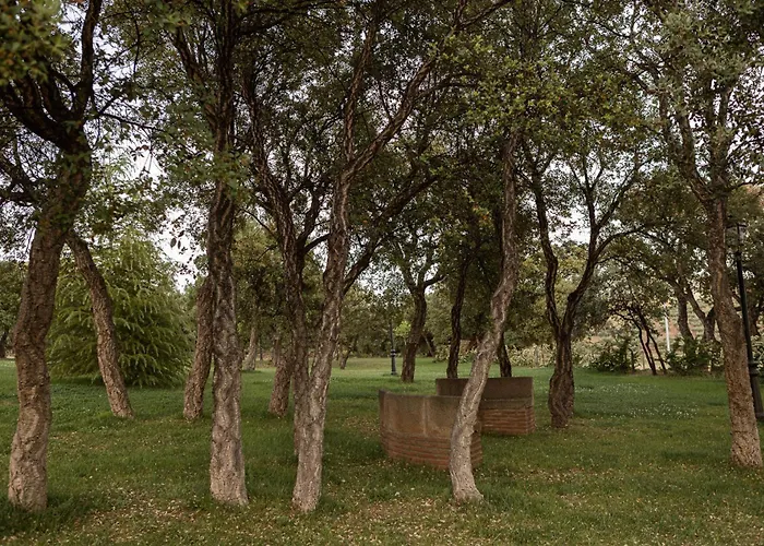 Hipico El Hinojal Montánchez